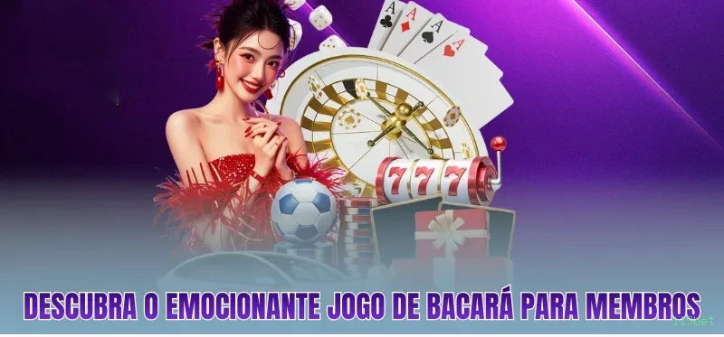 119bet Provedores Premium